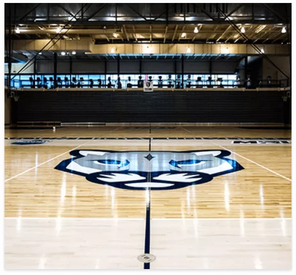 Titan Sport Systems photo 1