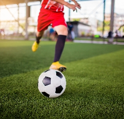 Agility turf thumbnail