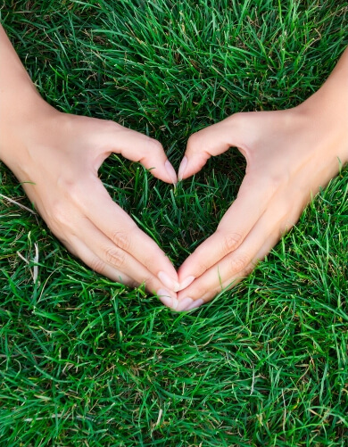 Green initiative hand