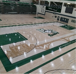 Maple thumbnail intro image 1