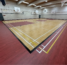 Omnisports pvc flooring image