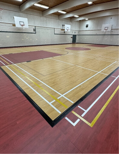 Omnisports pvc intro image